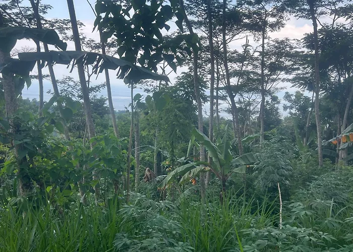 Pondok Manca