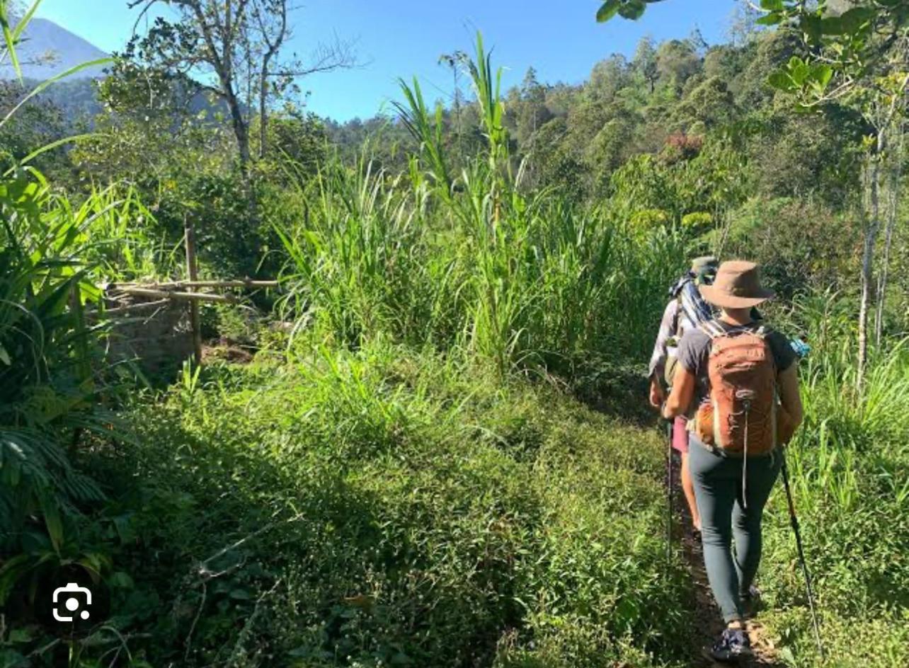 Manca Homestay